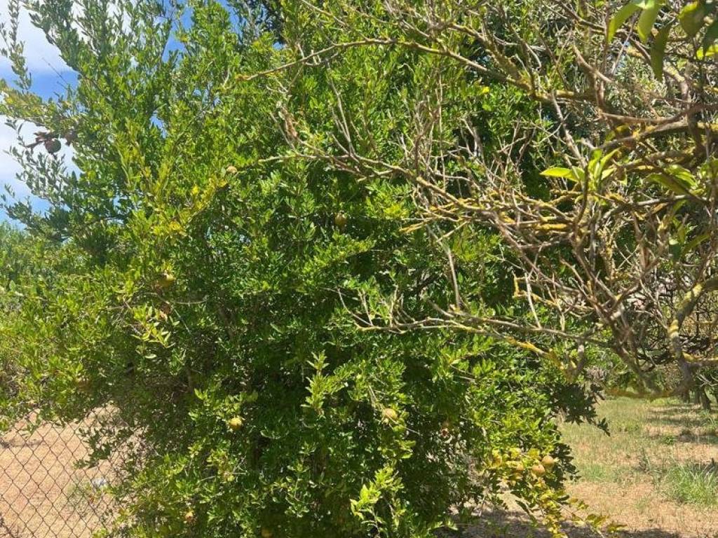 Terreno a Villaputzu in via giardini, 0 - Foto 5