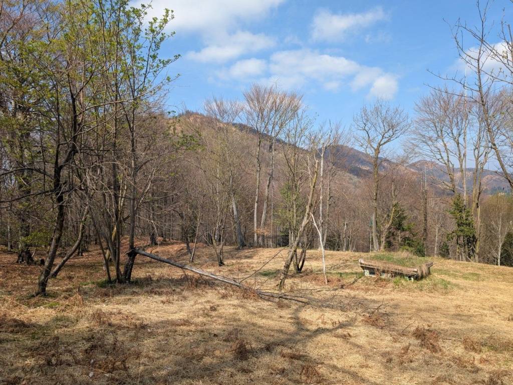 Terreno a Cuasso al monte in Via per Ganna - Foto 4