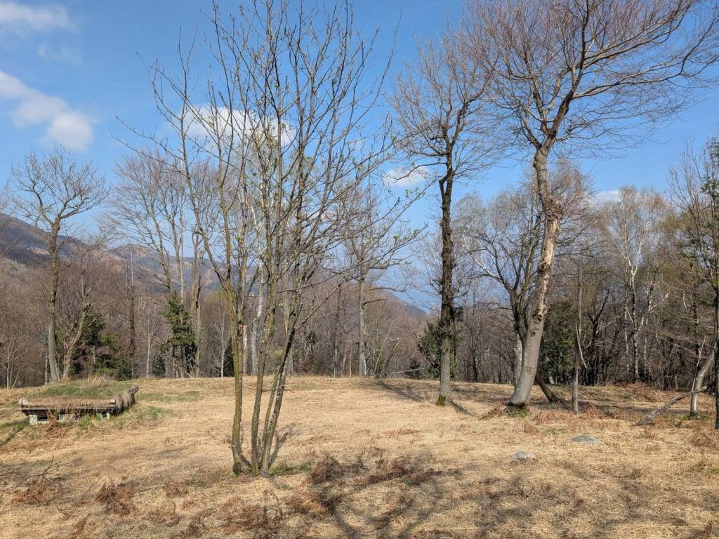 Terreno a Cuasso al monte in Via per Ganna - Foto 5