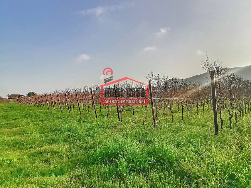 Terreno a Erbusco - Foto 5