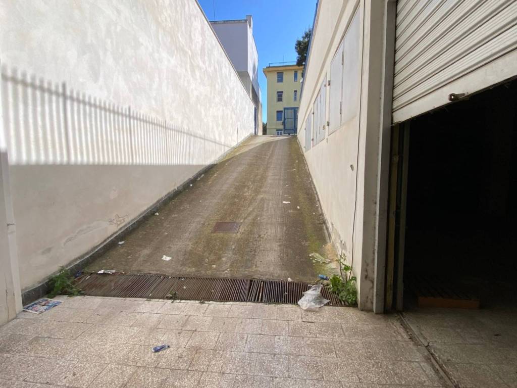 Immobile a Bisceglie in Cortile Silvano - Foto 2