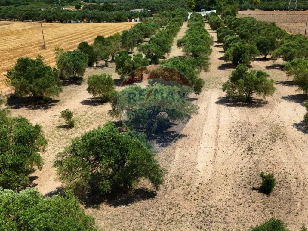 Terreno a Villasor in bia beccia serramanna - Foto 3