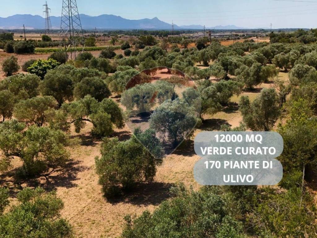 Terreno a Villasor in bia beccia serramanna - Foto 4