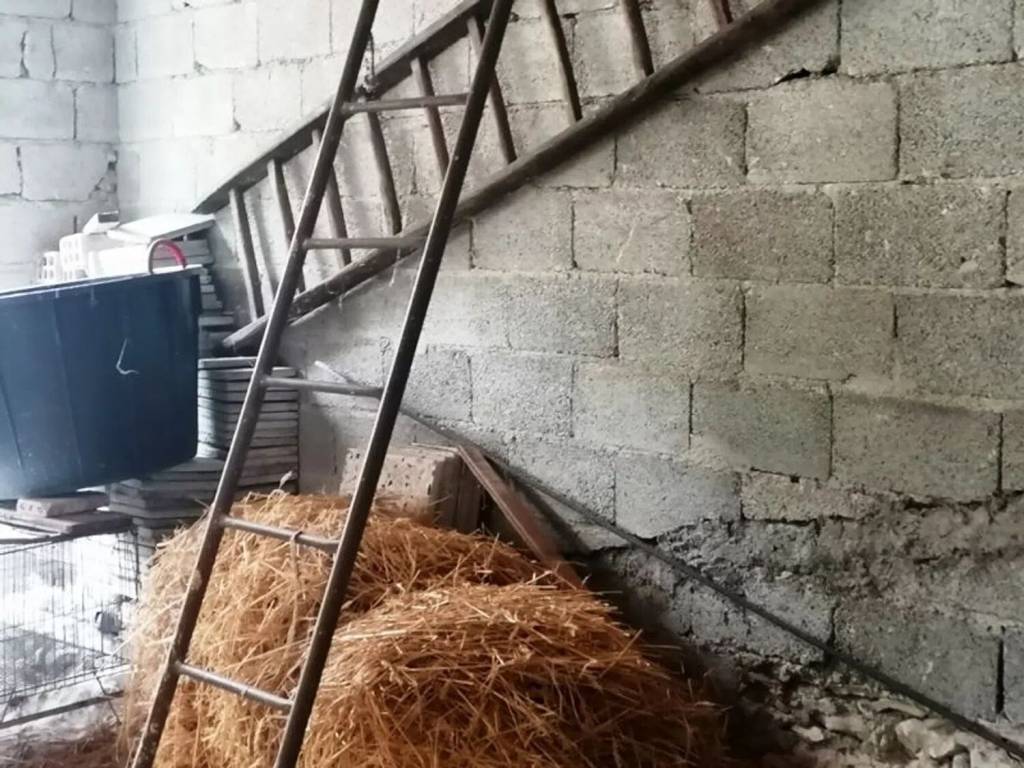 Villa a Sessano del molise - Foto 5