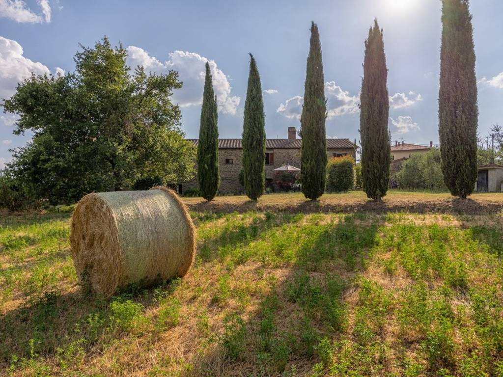 Rustico / casale a Cortona in Farinaio - Foto 2