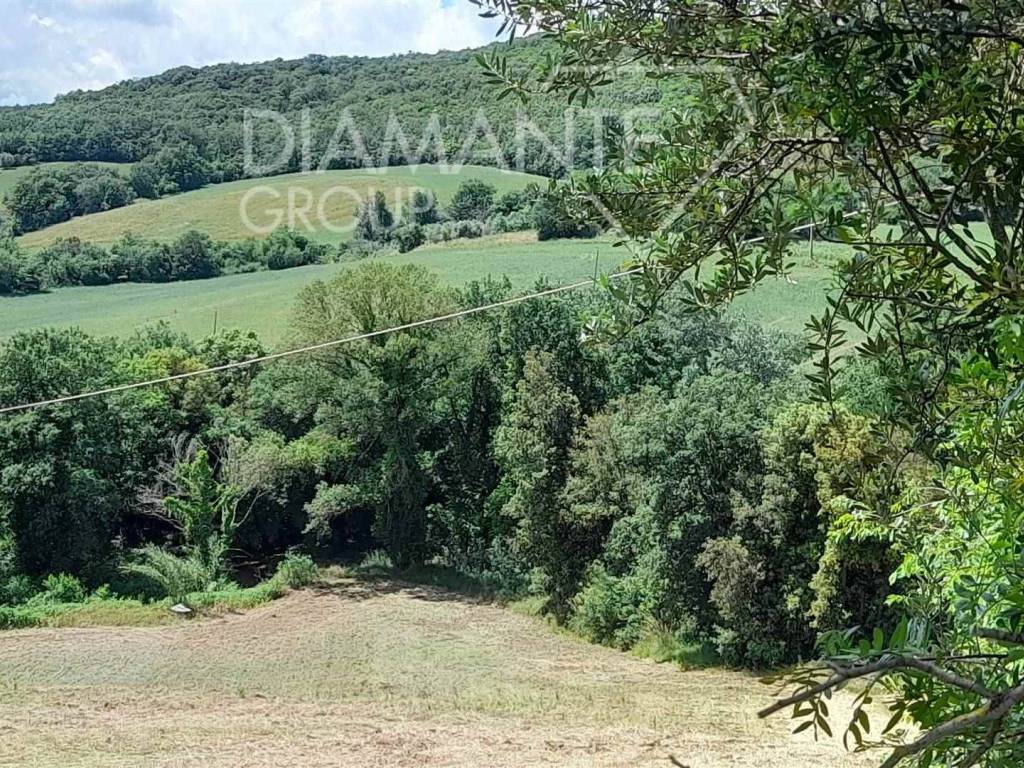 Terreno a Cinigiano - Foto 2