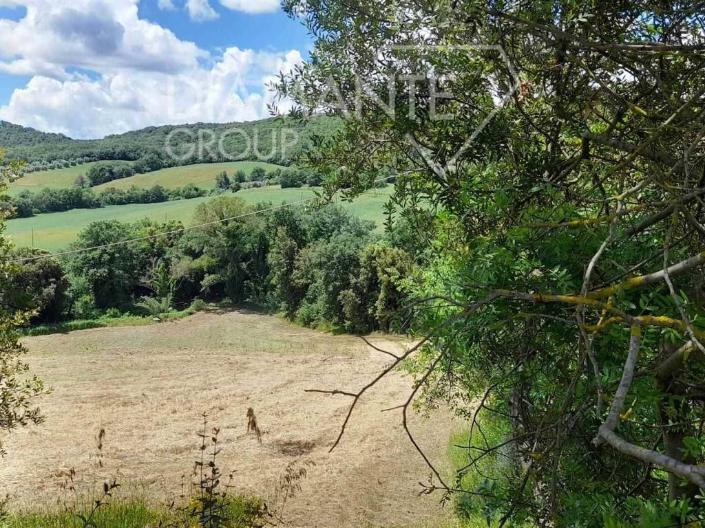 Terreno a Cinigiano - Foto 4