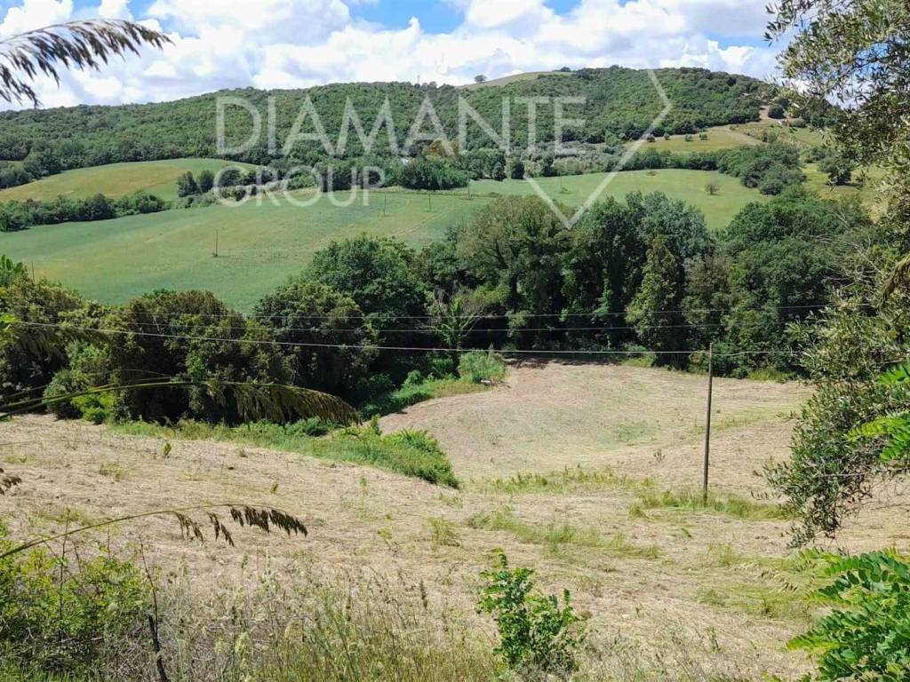 Terreno a Cinigiano - Foto 5