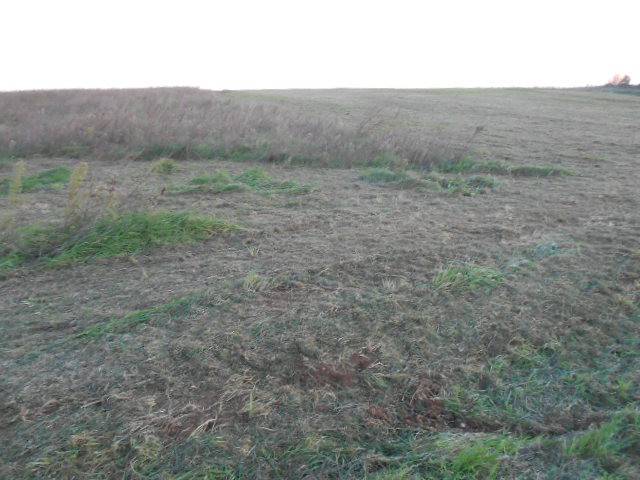 Terreno a Tuscania in Strada Provinciale Tarquiniense - Foto 2