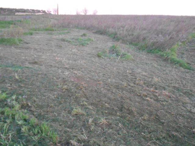 Terreno a Tuscania in Strada Provinciale Tarquiniense - Foto 3