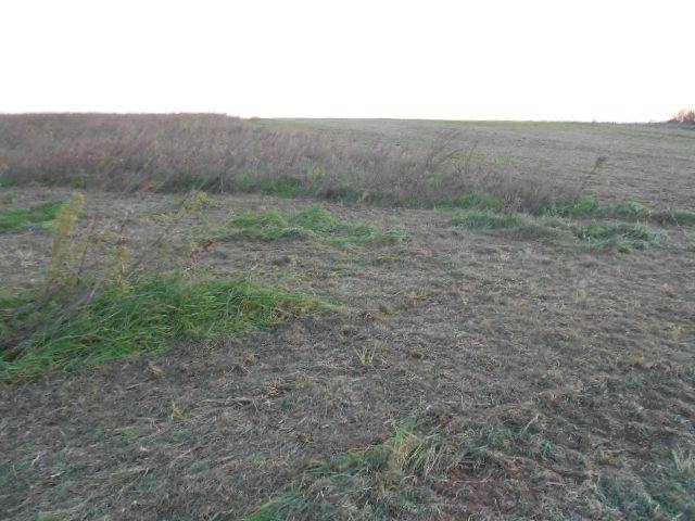 Terreno a Tuscania in Strada Provinciale Tarquiniense - Foto 4