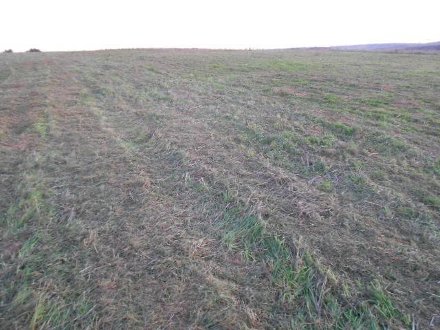 Terreno a Tuscania in Strada Provinciale Tarquiniense - Foto 5