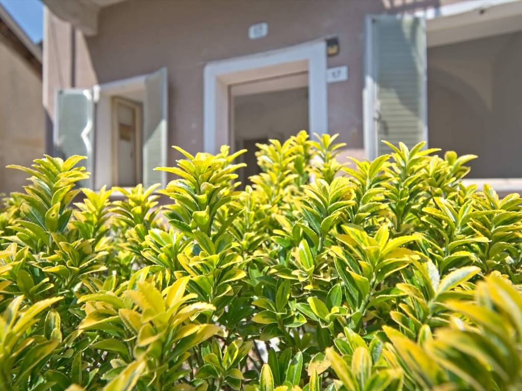 Casa indipendente a Valle san nicolao in Frazione Colongo, 17 - Foto 3