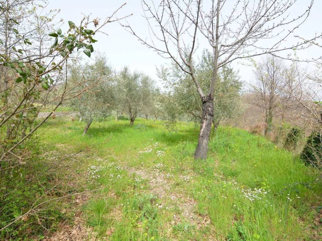 Casa indipendente a Montemarano - Foto 3