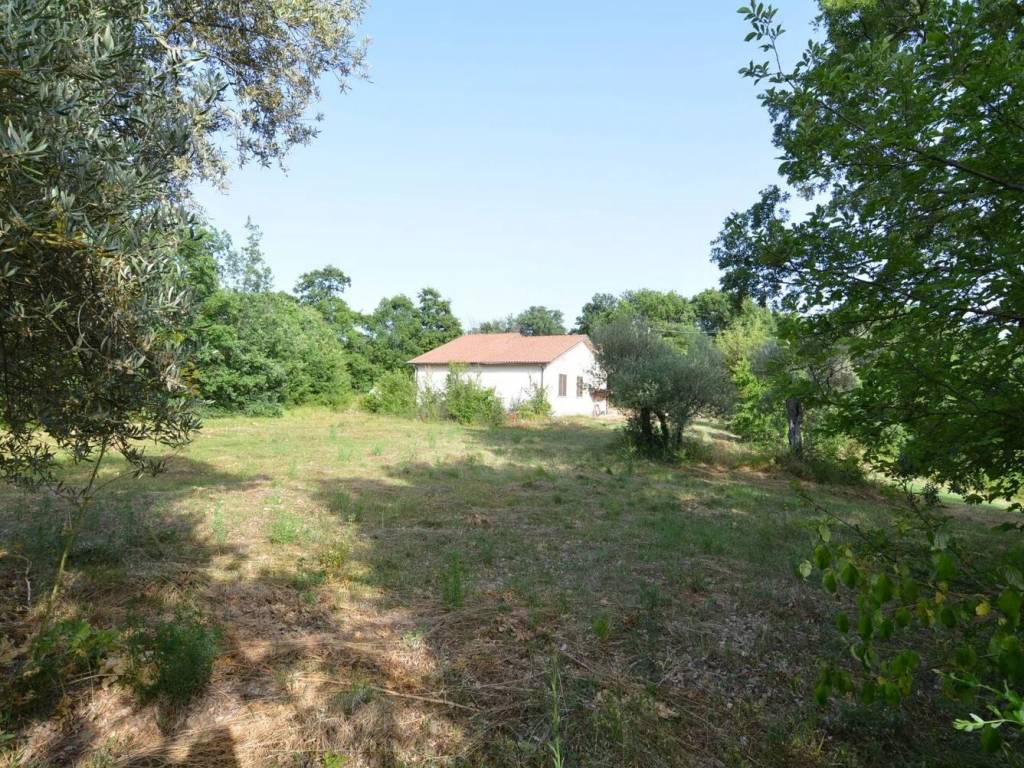 Villa a Rocca san felice - Foto 3