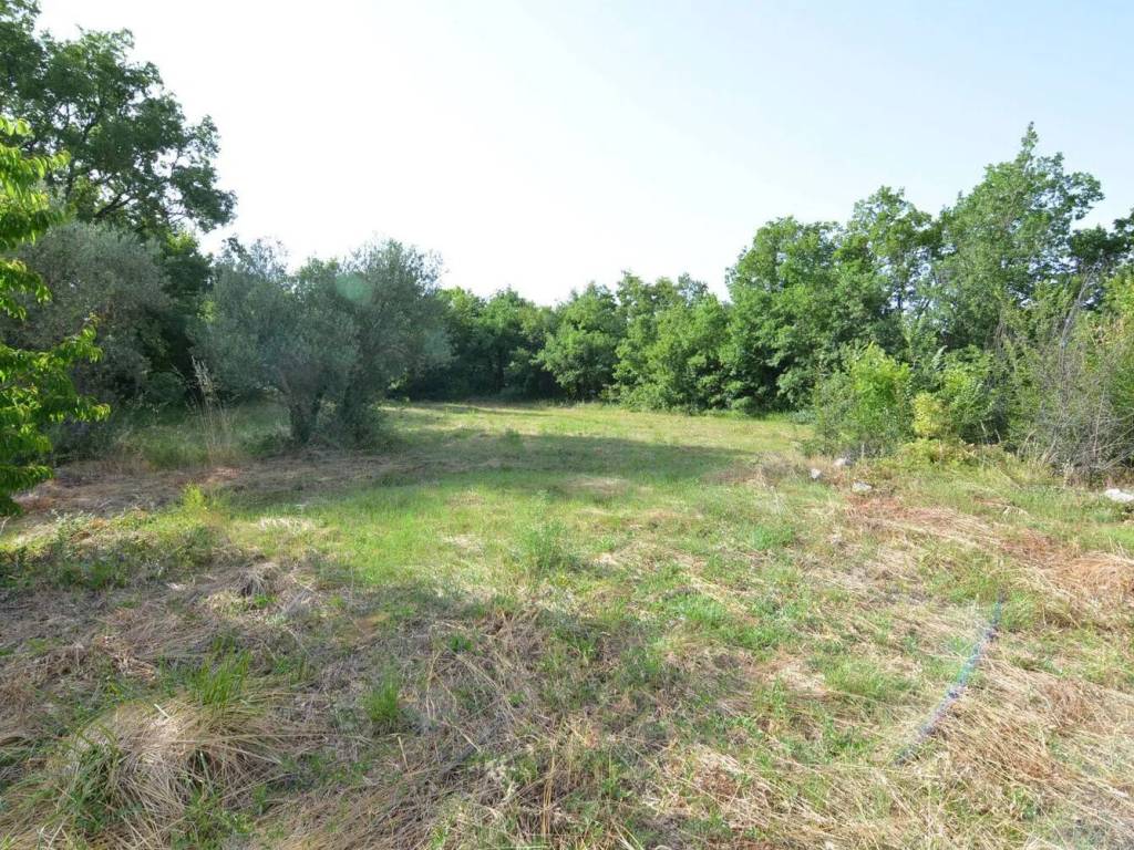 Villa a Rocca san felice - Foto 4