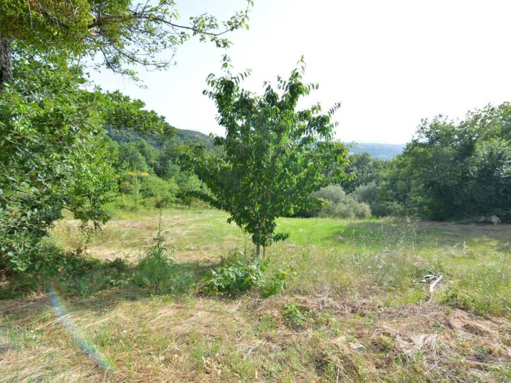 Villa a Rocca san felice - Foto 5