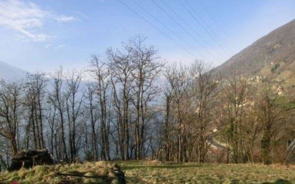 Rustico / casale a Bellano in Frazione Costa - Foto 4