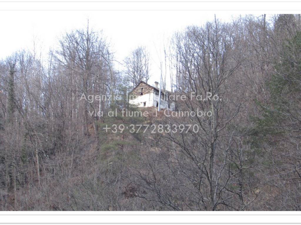 Rustico / casale a Valle cannobina - Foto 5