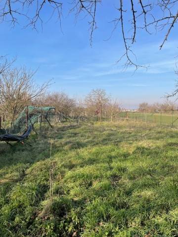 Villa a Tortona in Strada Statale per Alessandria - Foto 3