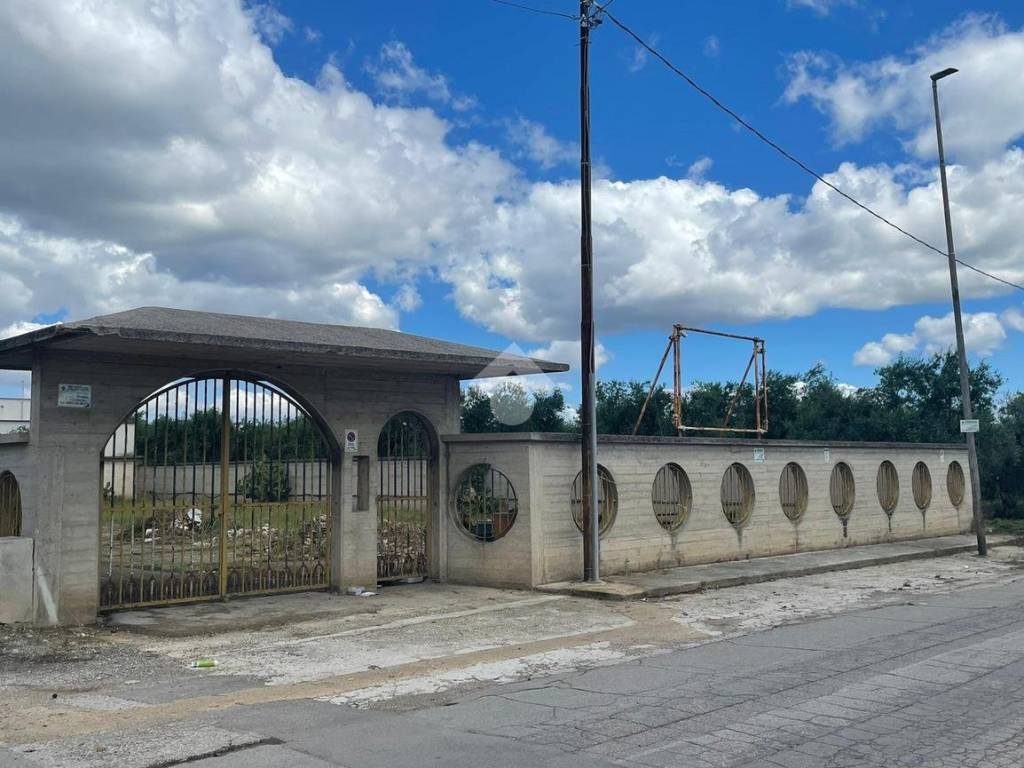 Terreno a Cerignola in via torre quarto, 1 - Foto 3