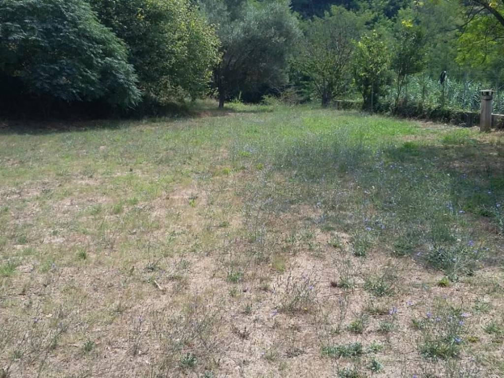 Villa a Massarosa - Foto 5