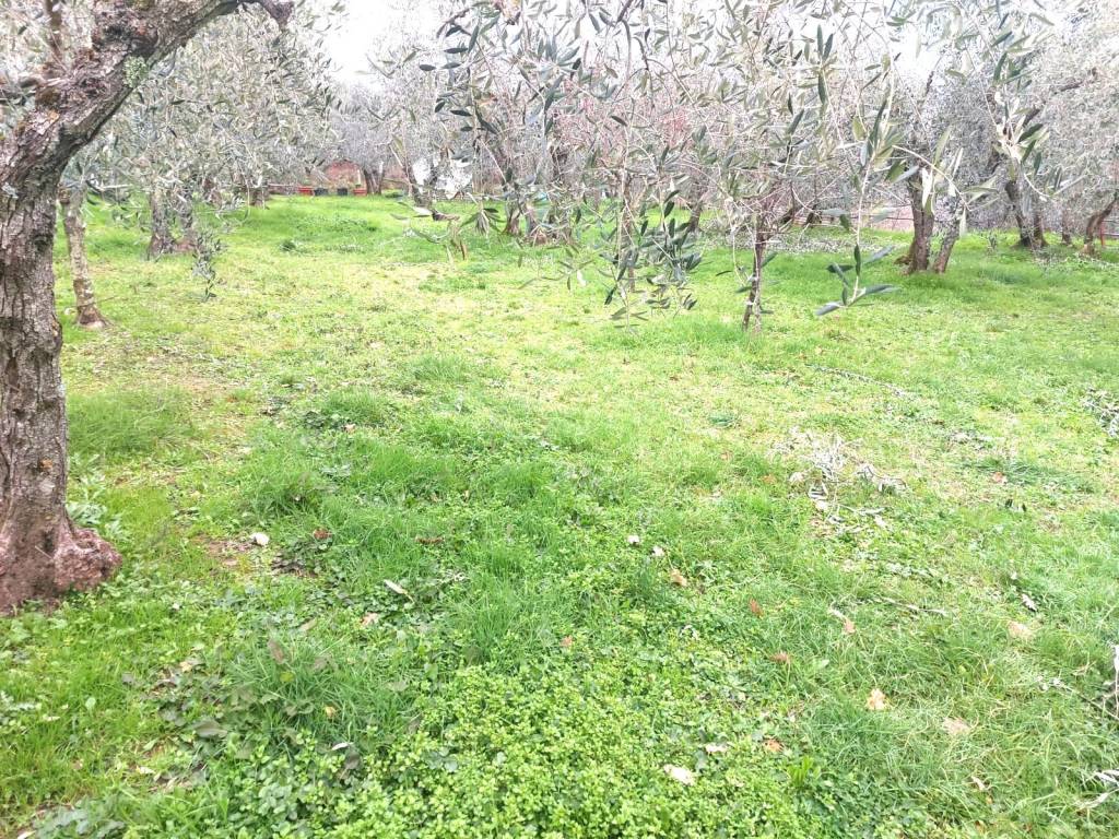 Terreno a Castelfranco piandisco in Via Divisione Garibaldi - Foto 2