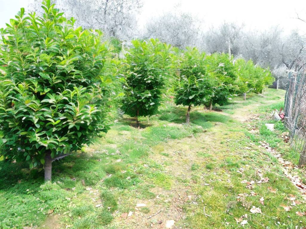 Terreno a Castelfranco piandisco in Via Divisione Garibaldi - Foto 3