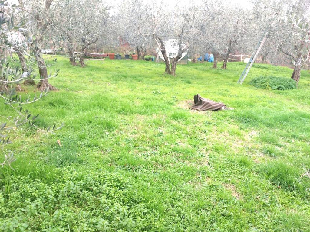 Terreno a Castelfranco piandisco in Via Divisione Garibaldi - Foto 5