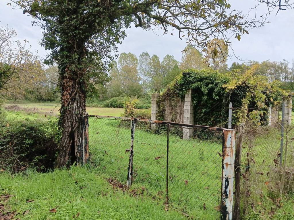 Rustico / casale a Patrica in Contrada Tufo Varaccani - Foto 3