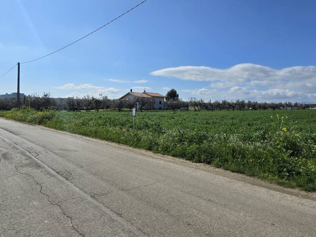 Terreno a Collecorvino in Strada Vicinale Grotte Rotacupa - Foto 3