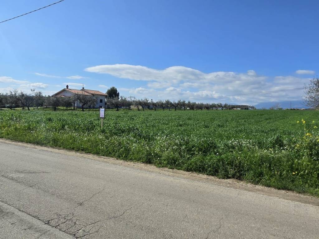 Terreno a Collecorvino in Strada Vicinale Grotte Rotacupa - Foto 4