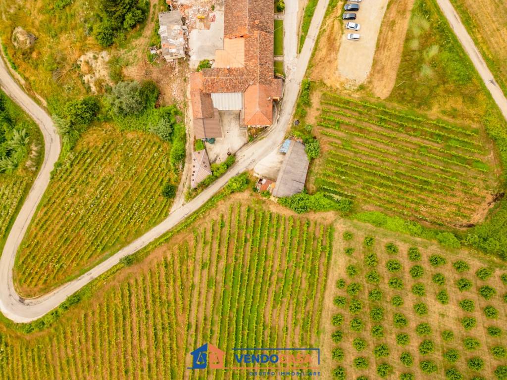 Terreno a Dogliani in Borgata Martina - Foto 2