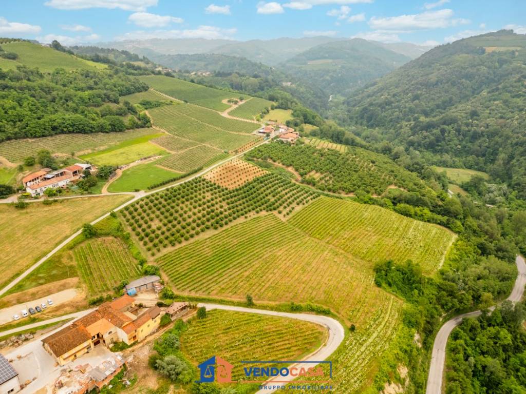 Terreno a Dogliani in Borgata Martina - Foto 3