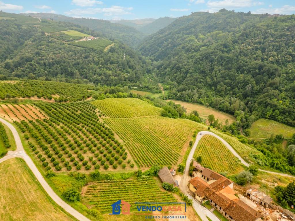 Terreno a Dogliani in Borgata Martina - Foto 4