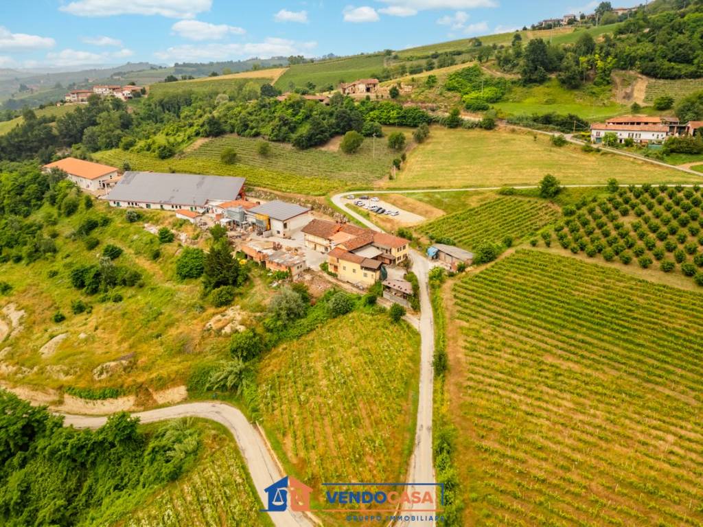 Terreno a Dogliani in Borgata Martina - Foto 5