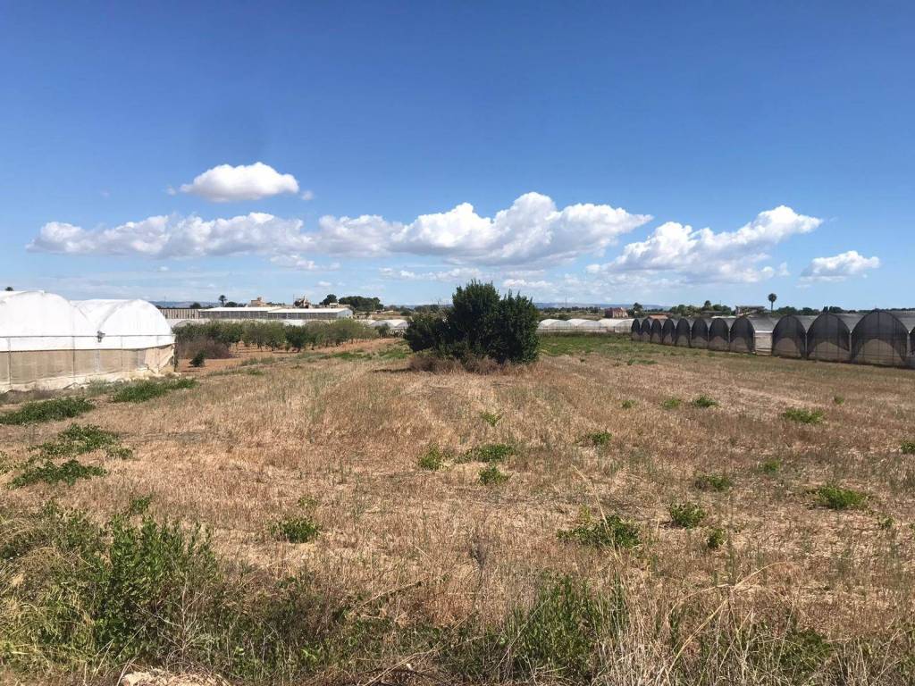 Terreno a Noto in Vignazza - Foto 5