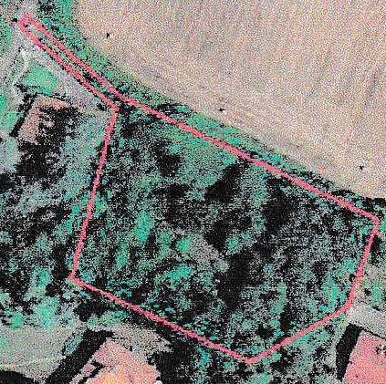 Terreno a Quattro castella in località Montecavolo - Foto 2