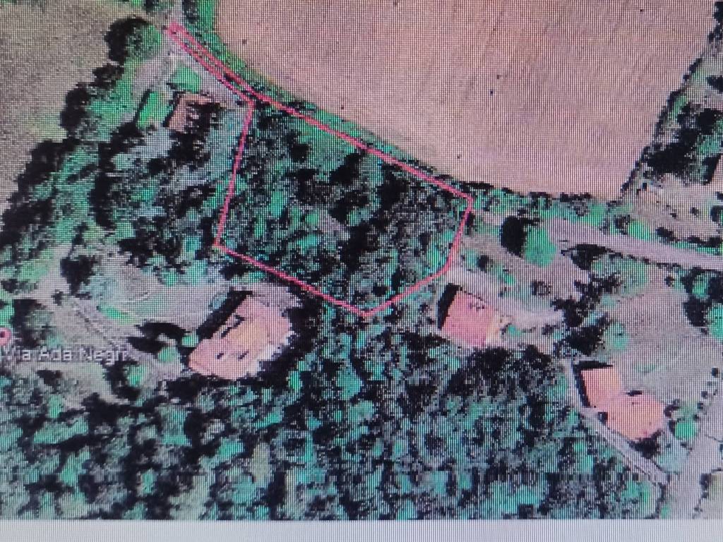 Terreno a Quattro castella in località Montecavolo - Foto 3