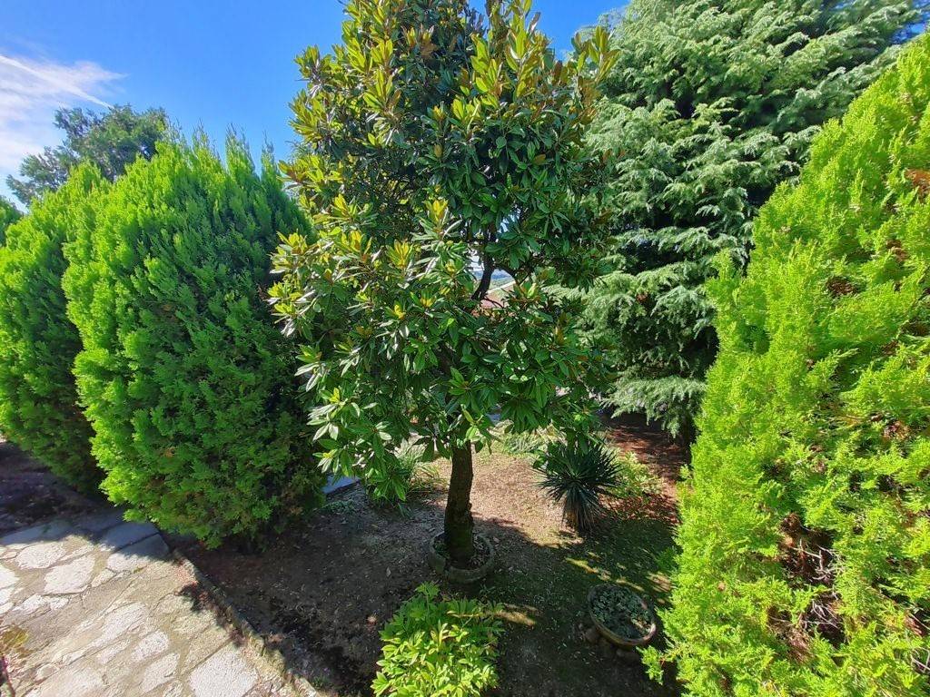 Villa a Montecalvo versiggia in Frazione Poggio - Foto 5