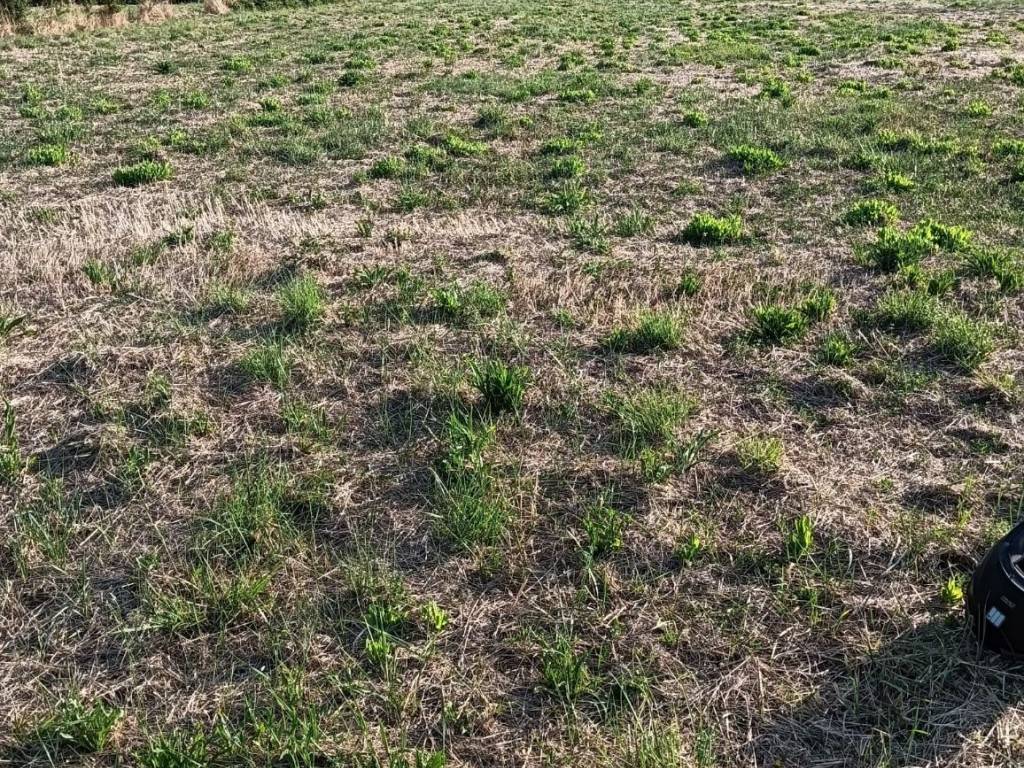 Terreno a Cattolica in Via lucciona, 2 - Foto 5