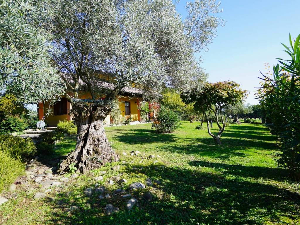 Villa a Biella in Strada Monte Bo, 67 - Foto 5