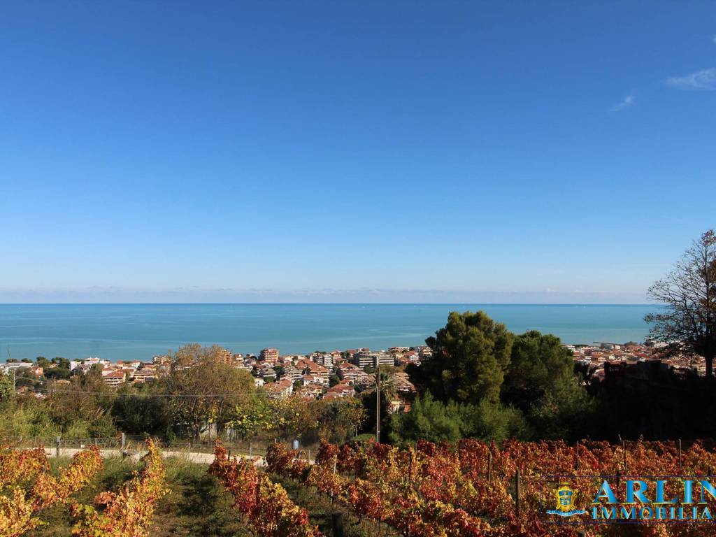 Terreno a Silvi in Contrada San Silvestro - Foto 4