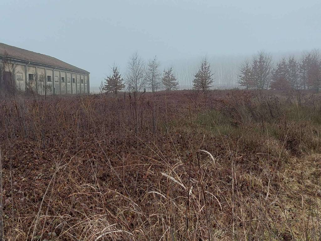 Terreno a Buronzo in via Giovanni Giolitti - Foto 2