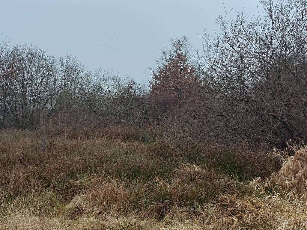 Terreno a Buronzo in via Giovanni Giolitti - Foto 5