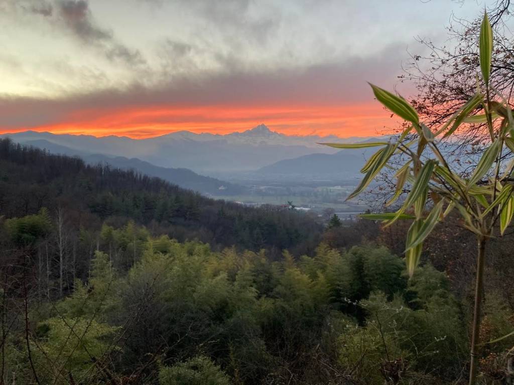 Terreno a Saluzzo - Foto 3