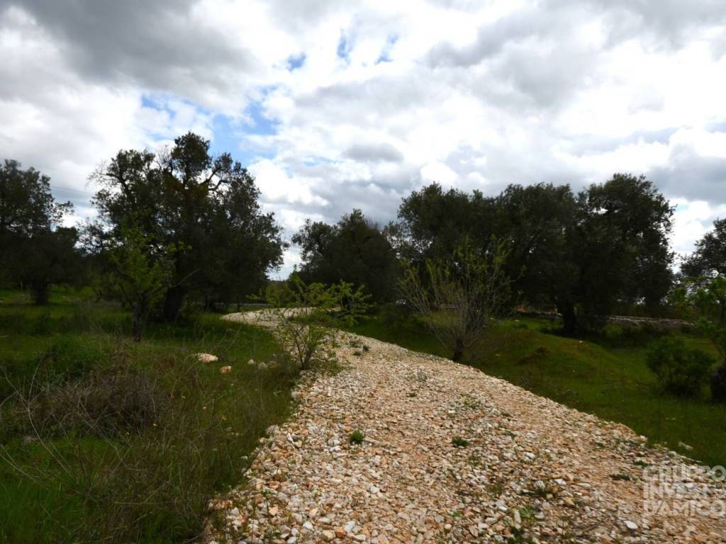 Rustico / casale a Ostuni in Contrada Lamatroccola - Foto 5
