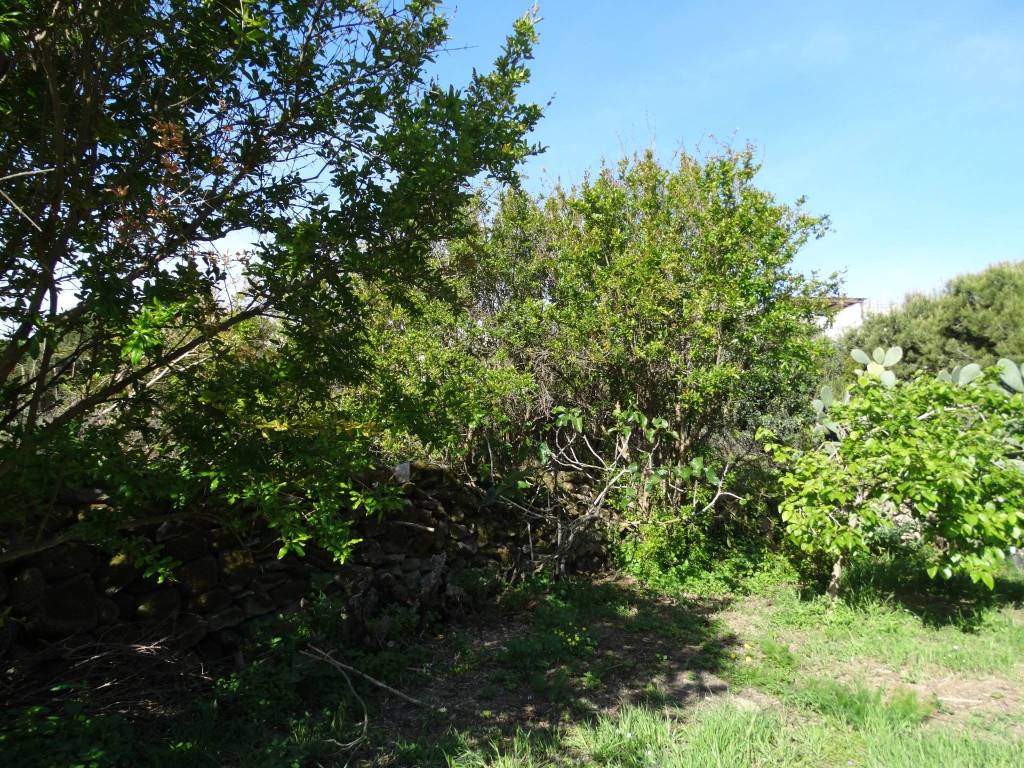Appartamento a Favignana in Via Leopardi - Foto 3
