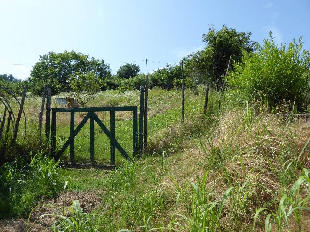 Terreno a Acqui terme - Foto 3