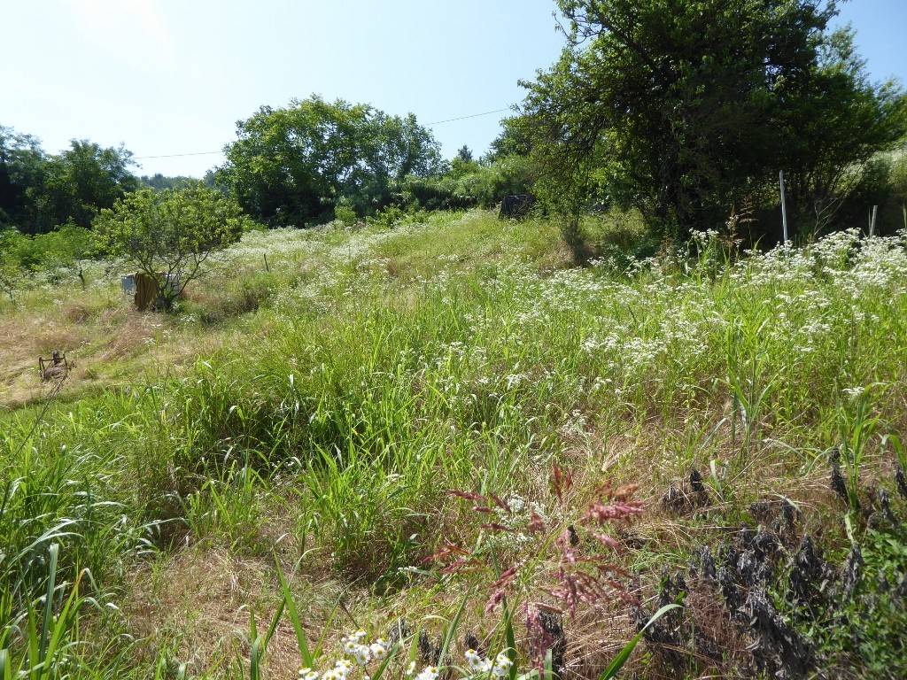 Terreno a Acqui terme - Foto 5